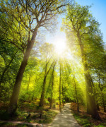 test catalog - 2158 151 38 94